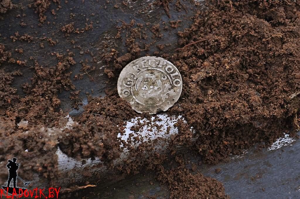 Поиск монет на фольварке