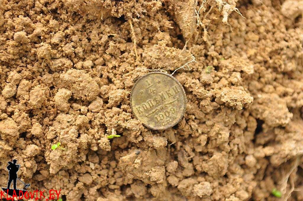 Поиск монет под дубом